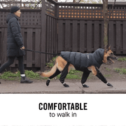 All-Weather Dog Suspender Boots