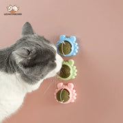 Catnip Wall Ball for Cats