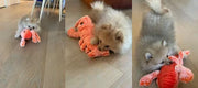 Floppy Lobster Interactive Dog & Cat Toy