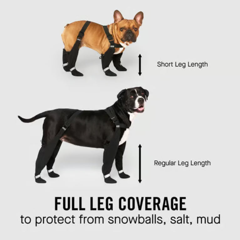 All-Weather Dog Suspender Boots