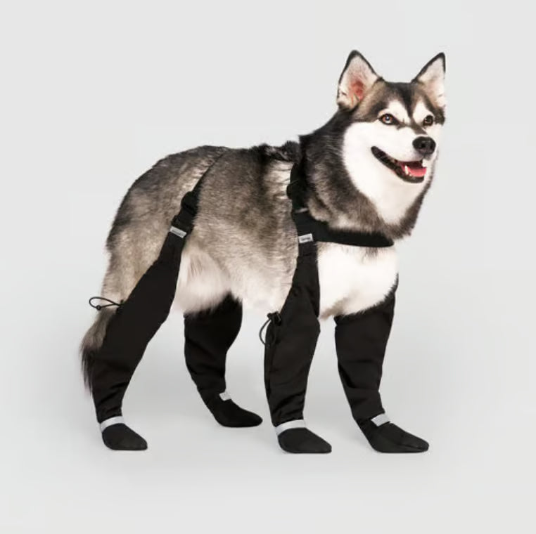 All-Weather Dog Suspender Boots