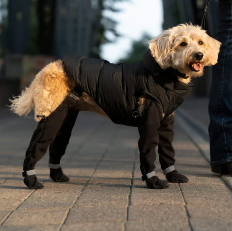 All-Weather Dog Suspender Boots