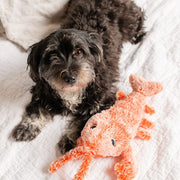 Floppy Lobster Interactive Dog & Cat Toy