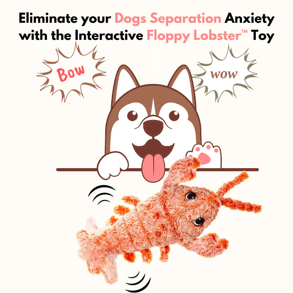 Floppy Lobster Interactive Dog & Cat Toy
