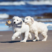 Indestructible Bear Plush Dog Toy