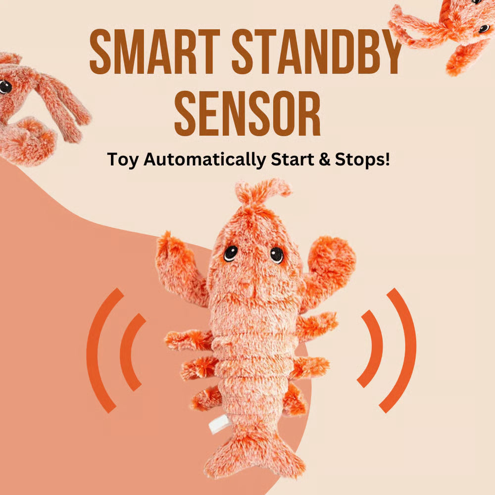 Floppy Lobster Interactive Dog & Cat Toy