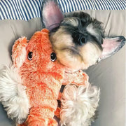 Floppy Lobster Interactive Dog & Cat Toy