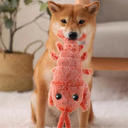 Floppy Lobster Interactive Dog & Cat Toy
