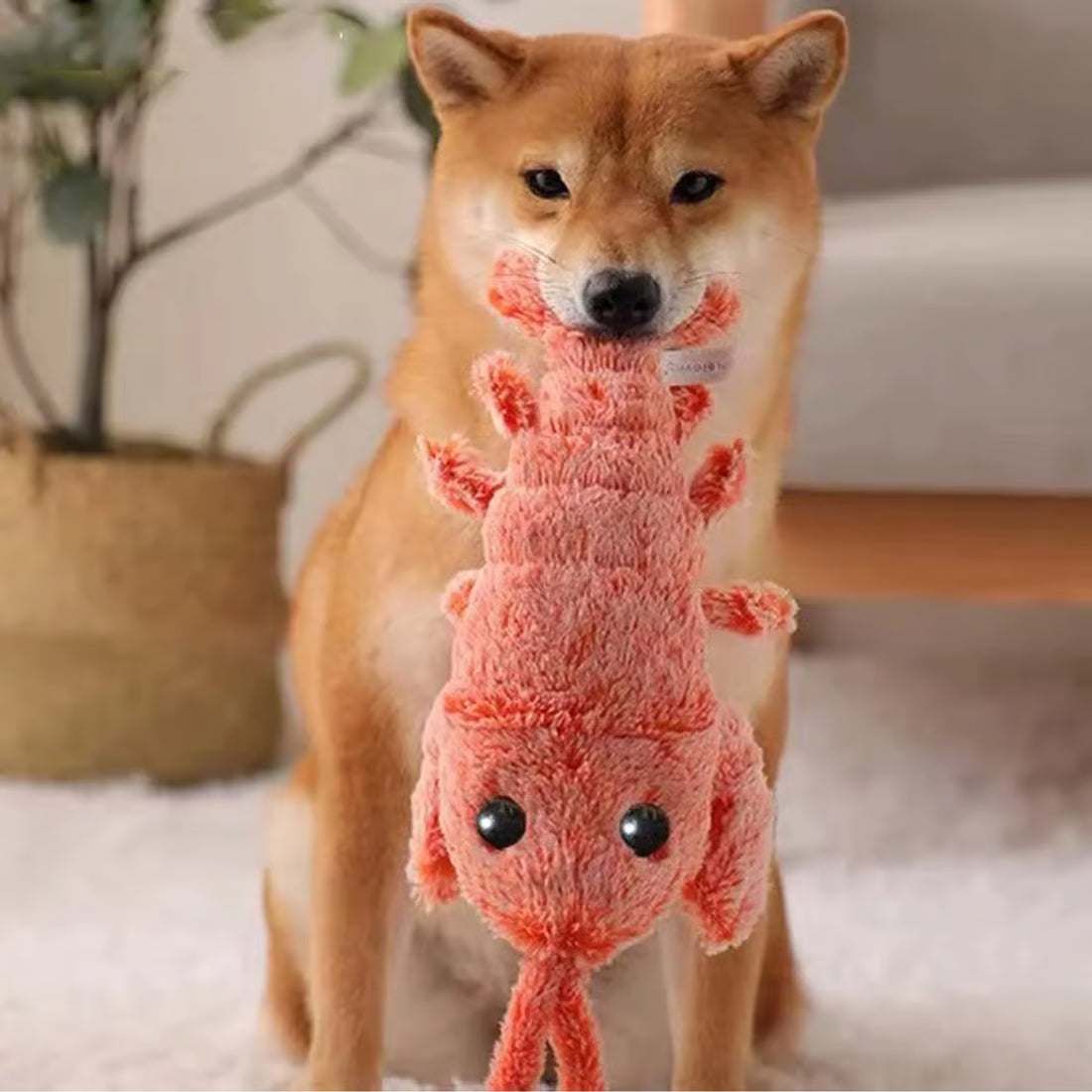 Floppy Lobster Interactive Dog & Cat Toy